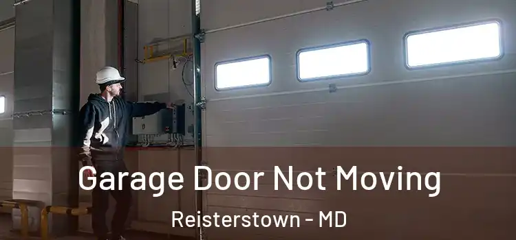  Garage Door Not Moving Reisterstown - MD