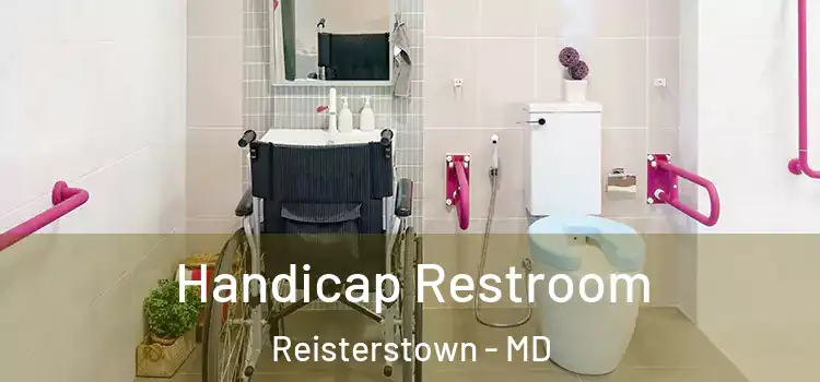  Handicap Restroom Reisterstown - MD