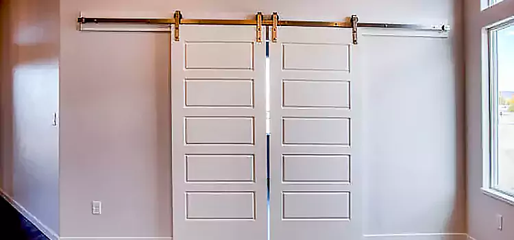 Glass Barn Door with Installation Hardware Kit Reisterstown