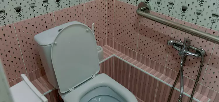 Meeting Diverse Needs With Accessible Restroom Solutions in Reisterstown, MD