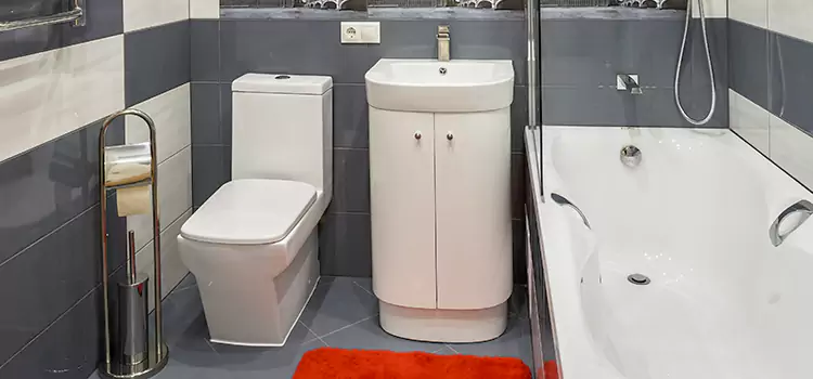 Hansgrohe Shaving Mirror Reisterstown